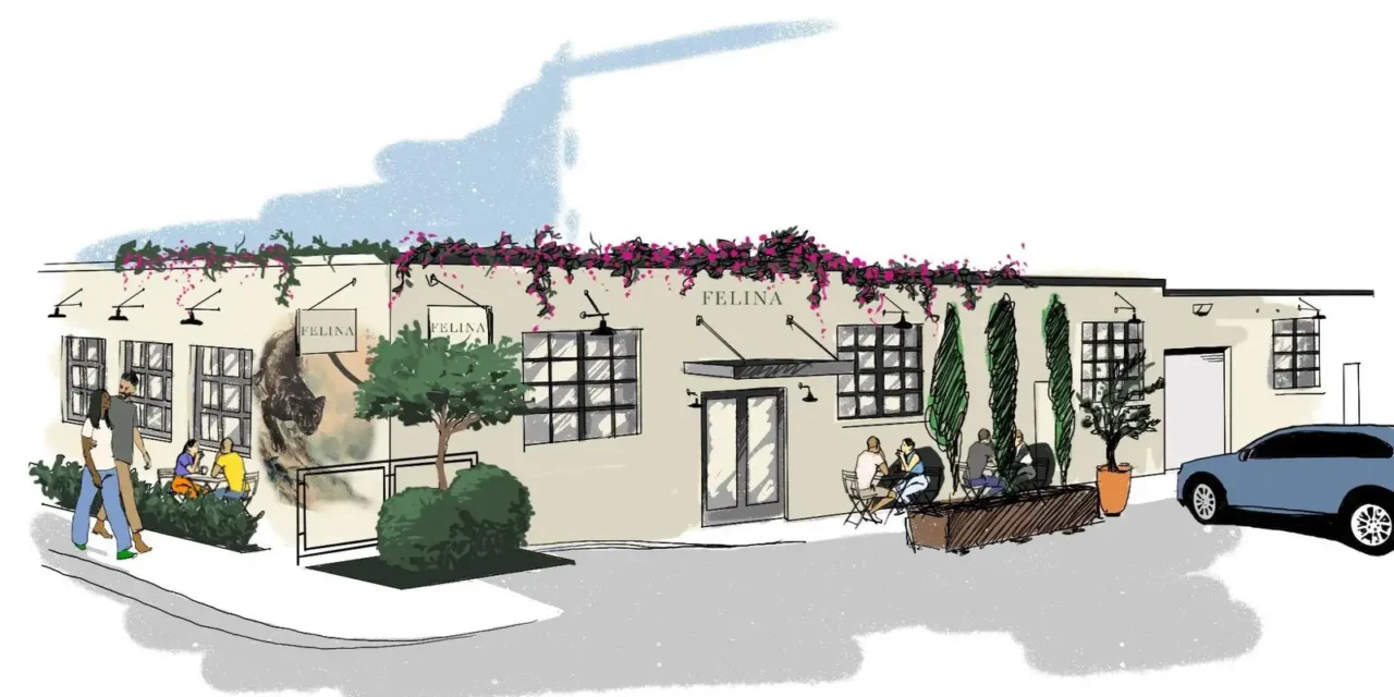 Bocca Osteria Romana spawns sibling, Felina