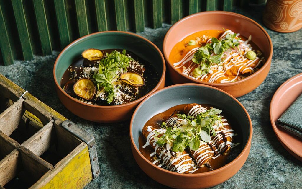 Michelin-starred chef helms new Almacén El Gallo